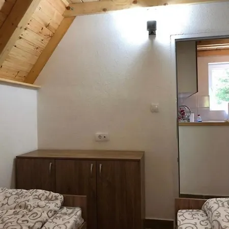 Case de vacanță Planinska Kuca Andjela 1 *