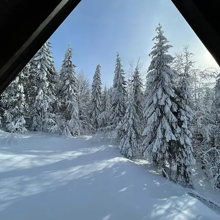 Planinska Kuca Andjela 1 Case de vacanță *