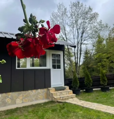 Planinska Kuca Andjela 1 - Sauna *